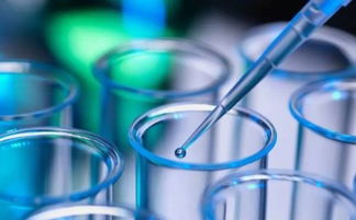 羽蛻啟動全員專業(yè)化常態(tài)化培訓(xùn) 夯實生物科技護膚基礎(chǔ)