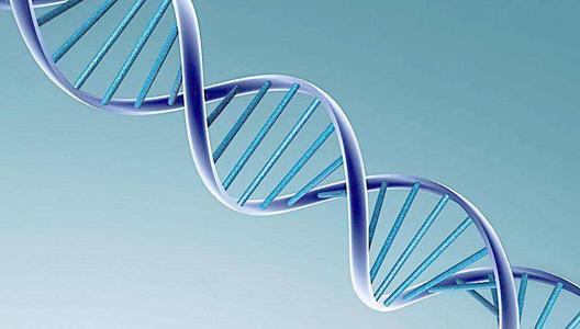 生物三字 生物工程,生物技術(shù),生物科學這些專業(yè)有什么區(qū)別