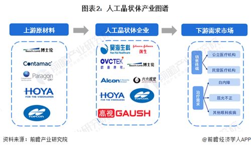 2024年人工晶狀體行業產業鏈全景梳理及區域熱力圖