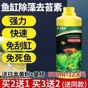 時光小舍 一方花木，妝點生活的小確幸
