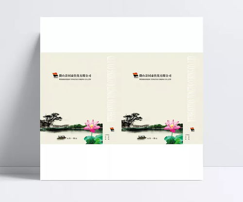中國傳統(tǒng)水墨風格手提袋包裝設(shè)計